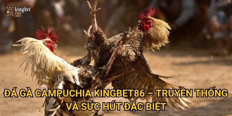 Đá gà Campuchia Kingbet86 có hấp dẫn như lời đồn? 2 Đá gà Campuchia Kingbet86 – Truyền thống và sức hút đặc biệt